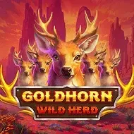 Goldhorn Wild HerdBarbarabang game thumbnail